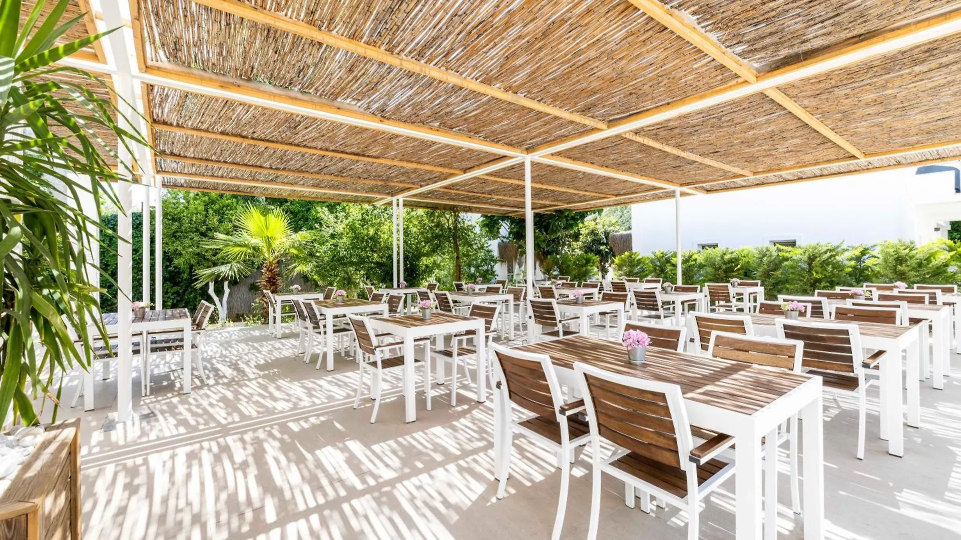 Costa Maya Bodrum 3*,