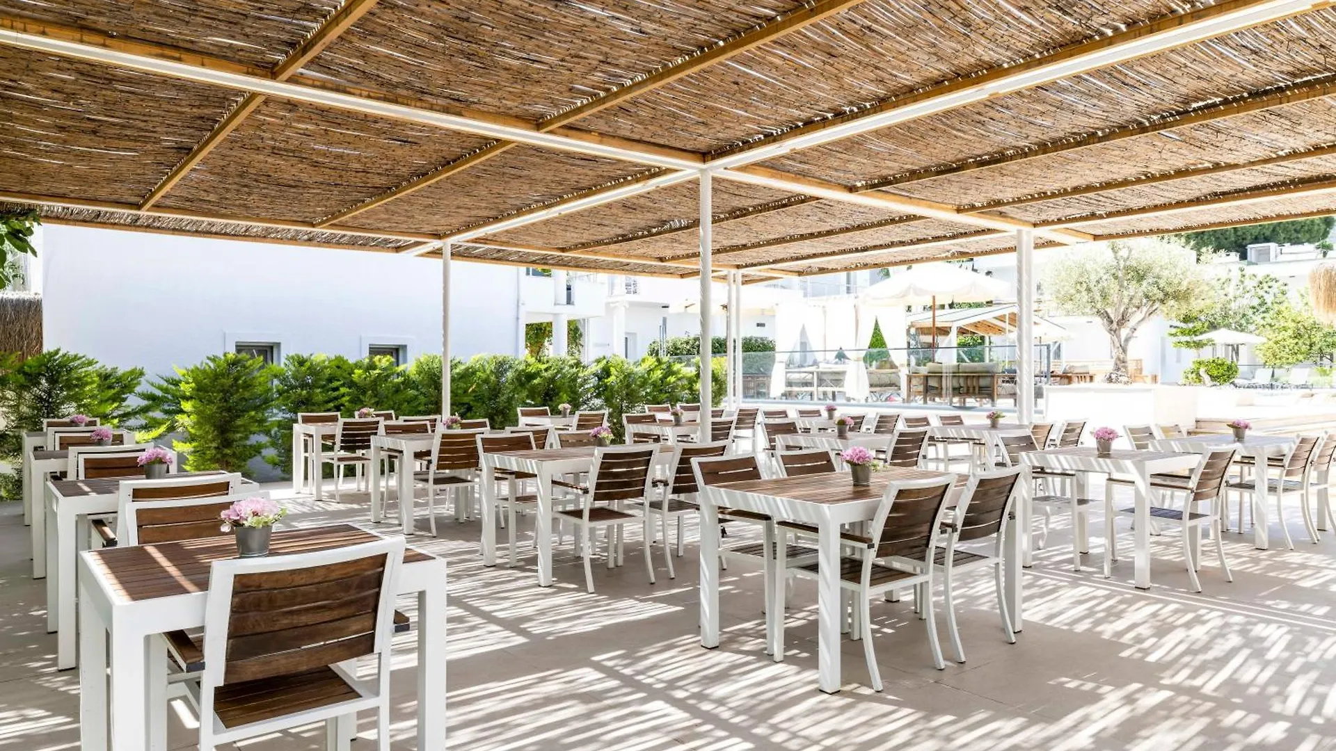 Costa Maya Bodrum Hotel