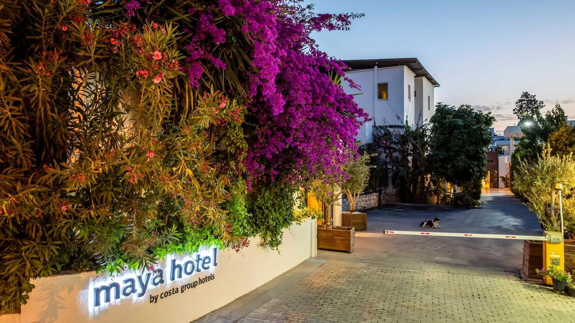 Hotel Costa Maya Bodrum