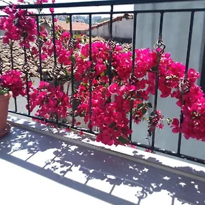 Ξενοδοχείο Casa Magnolia Boutique